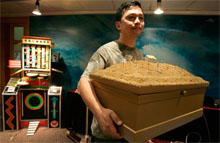 Coffins for Pets Coffins for Pets